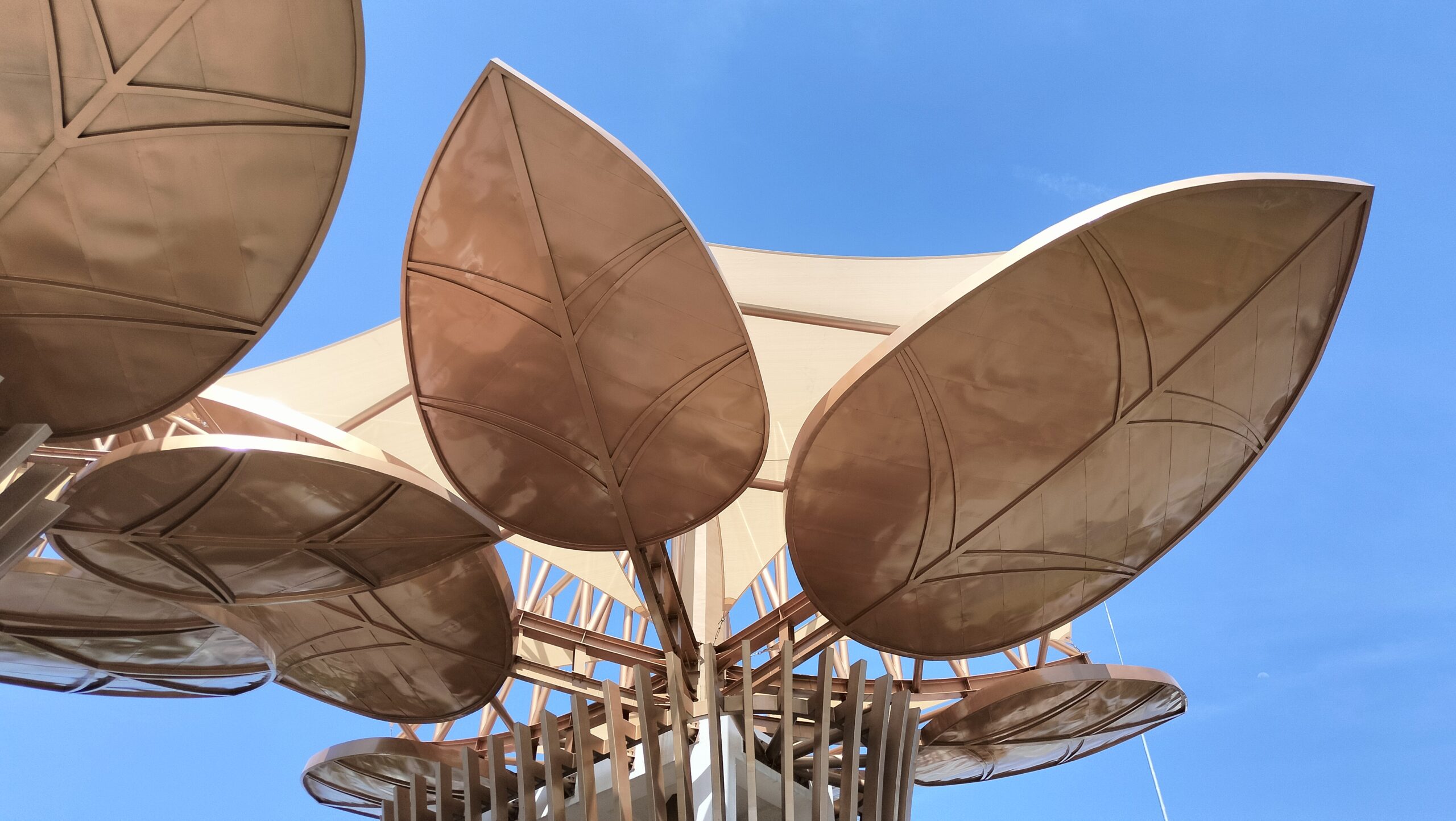 Shade Sails Installation